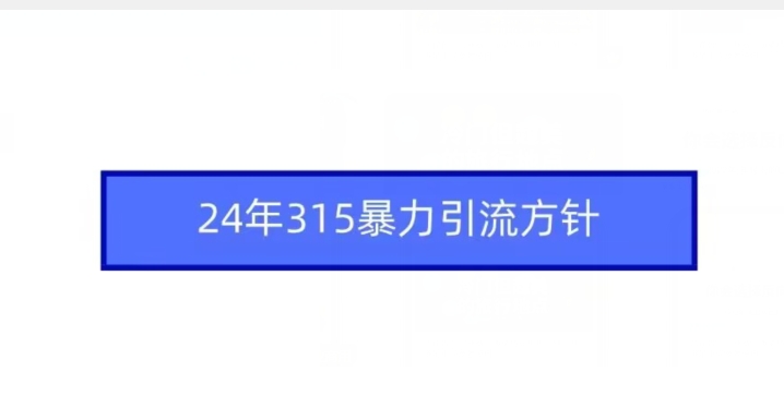 24年315暴力引流方针-唐人网创