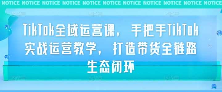 TikTok全域运营课，手把手TikTok实战运营教学，打造带货全链路生态闭环-唐人网创