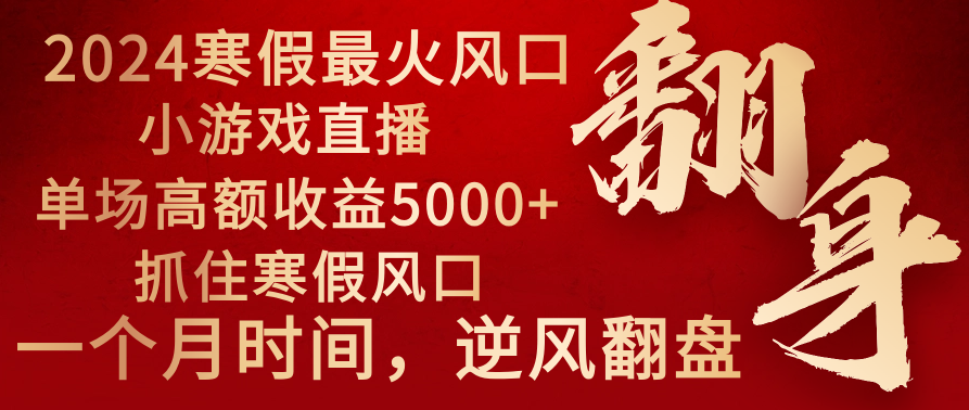 2024年最火寒假风口项目 小游戏直播 单场收益5000+抓住风口 一个月直接提车-唐人网创