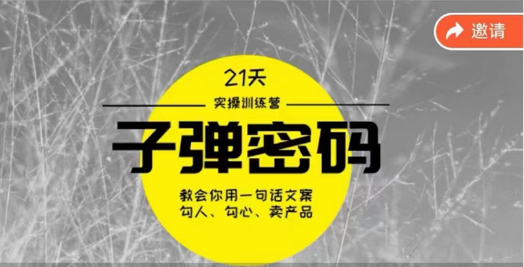 《子弹密码训练营》用一句话文案勾人勾心卖产品，21天学到顶尖文案大师策略和技巧-唐人网创