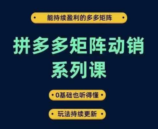 拼多多矩阵动销系列课，能持续盈利的多多矩阵，0基础也听得懂，玩法持续更新-唐人网创