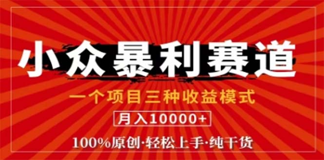 视频号最新爆火赛道，三种可收益模式，0粉新号条条原创条条热门 日入1000+-唐人网创