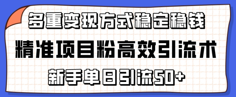 精准项目粉高效引流术，新手单日引流50+，多重变现方式稳定赚钱-唐人网创