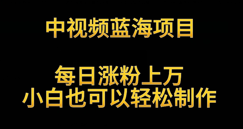 中视频蓝海项目，解读英雄人物生平，每日涨粉上万，小白也可以轻松制作，月入过万不是梦-唐人网创