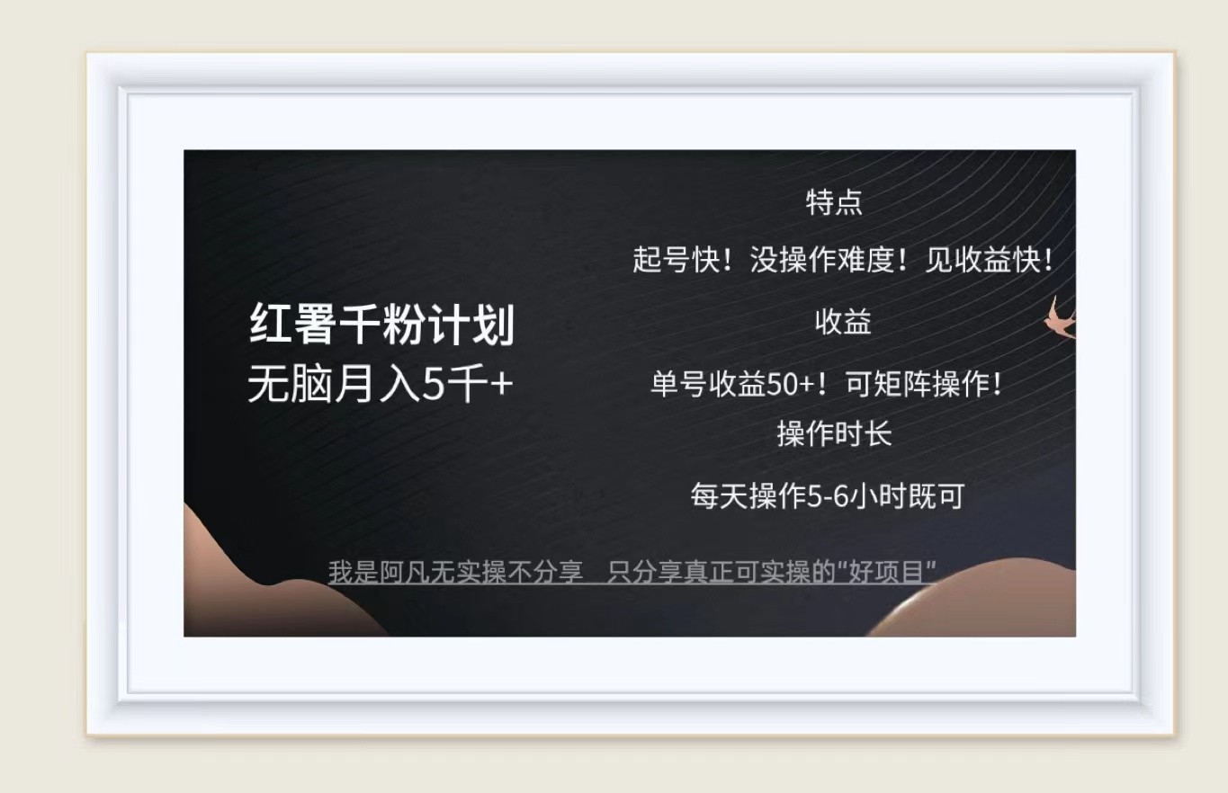 红薯千粉计划无脑月入5千+！既做既赚！-唐人网创