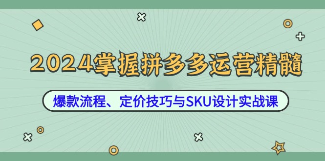 2024掌握拼多多运营精髓：爆款流程、定价技巧与SKU设计实战课-唐人网创