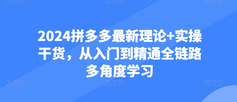 2024拼多多最新理论+实操干货，从入门到精通全链路多角度学习-唐人网创