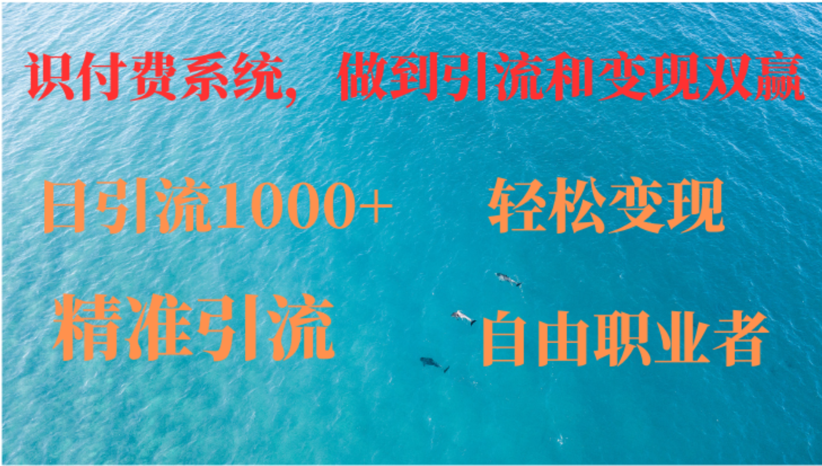 如何搭建自己的知识付费系统，做到引流和变现双赢-唐人网创
