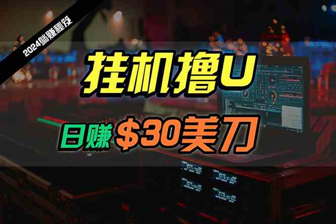 （10013期）日赚30美刀，2024最新海外挂机撸U内部项目，全程无人值守，可批量放大-唐人网创