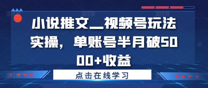 小说推文—视频号玩法实操，单账号半月破5000+收益-唐人网创